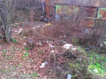 Несанкционированная свалка мусора недалеко от Красногорского ЗАГСа.