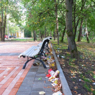 Мусор вдоль брусчатой дорожки между усадьбой Знаменское и выставочной площадью у ДК Подмосковье.