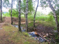 Большая свалка бытового мусора в лесопарке Красногорска в 150 метрах от Налоговой инспекции.