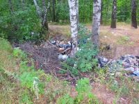 Большая свалка бытового мусора в лесопарке Красногорска в 150 метрах от Налоговой инспекции.