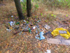 Множественные свалки бытового мусора на полянах вдоль левой стороны линии высоковольтных проводов от улицы Успенская до лесного пруда.