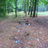 Множественные свалки бытового мусора на полянах вдоль левой стороны линии высоковольтных проводов от улицы Успенская до лесного пруда.